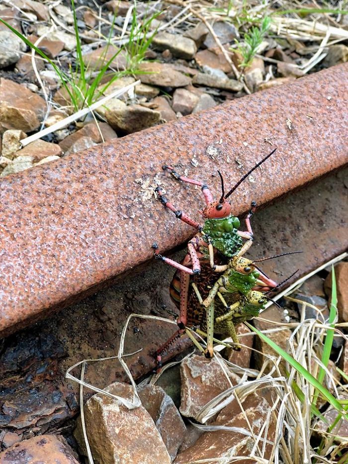 Ctrl+c Ctrl+v Ctrl+v