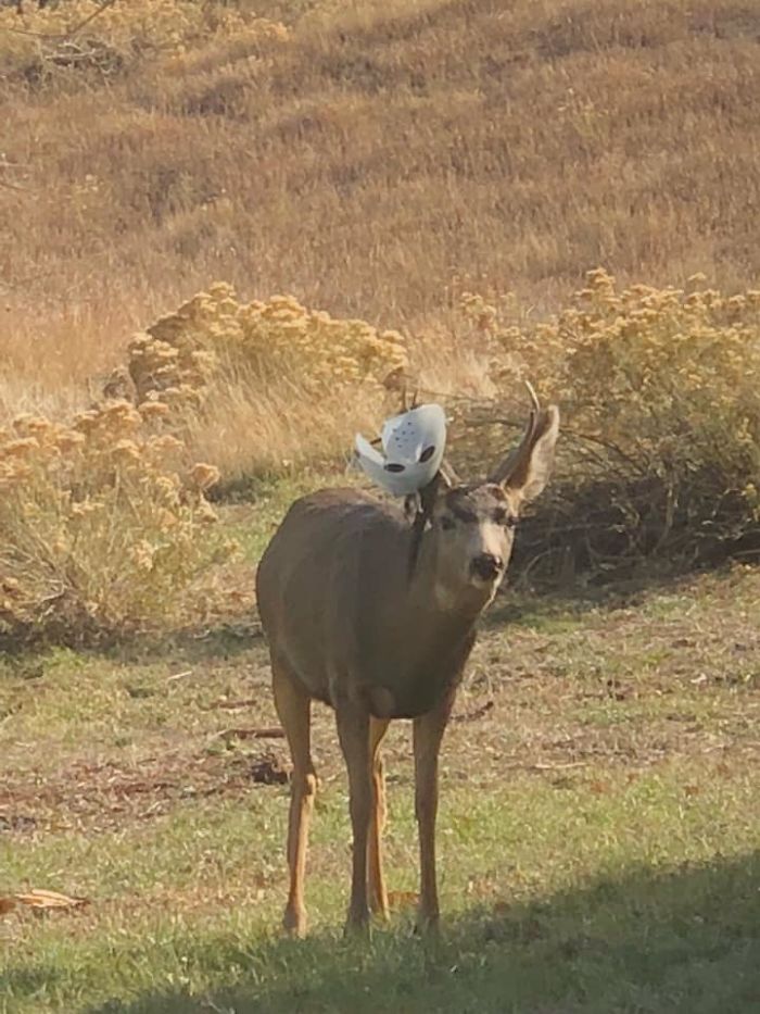 Jason Was Early For His Visit. I Really Didn’t Expect Him Until Fri The 13th