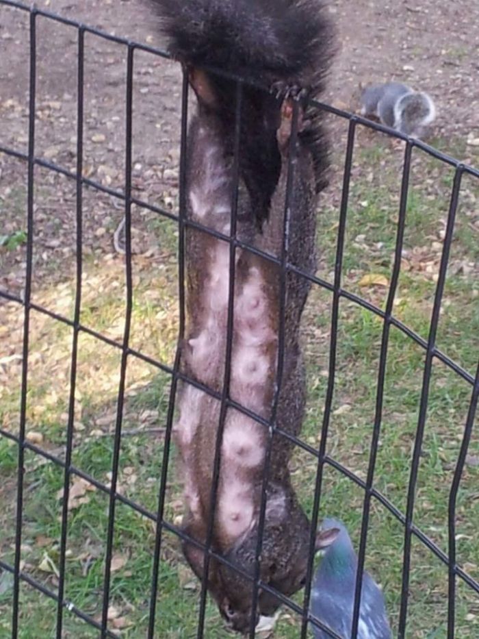 Sorry All You Moms, I'm Posting This A Little Late For Mothers Day...