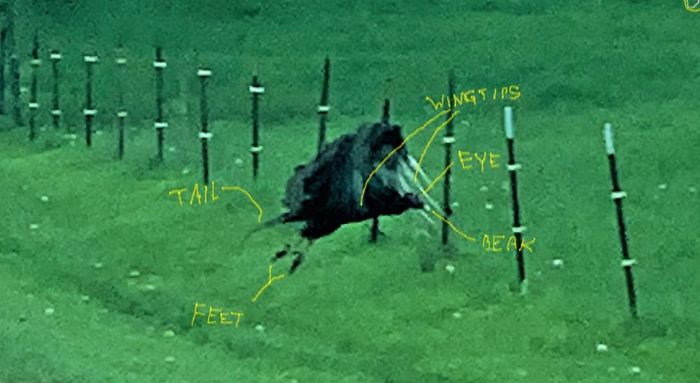 It's Not A Trashbag! Dammit!