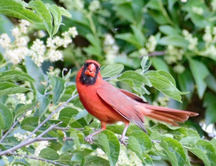 Got The Sense I Was Being Watched, Spun Around And Saw This...