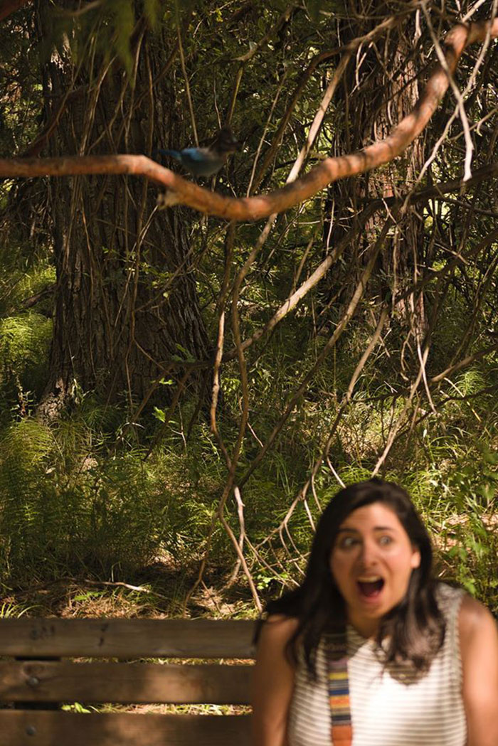 My Husband Suddenly Asked Me To Stay Very Still For This Shot. Not Knowing What Was Behind Me, I Freaked When I Heard What Sounded Like A Pterodactyl. It Was A Blue Jay Guys. A Blue Jay