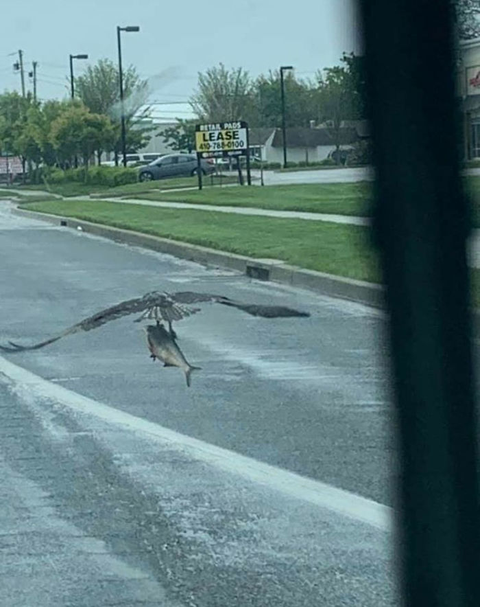 I Can Show You The World