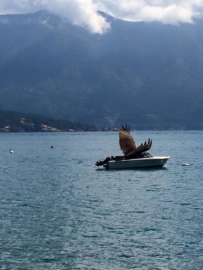 ‘Eagles In Speedboats’ Would Be The Name Of My Hipster Synth Electro Band