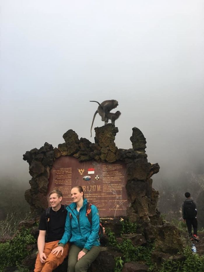 What A L(O)vely (C)ouple X