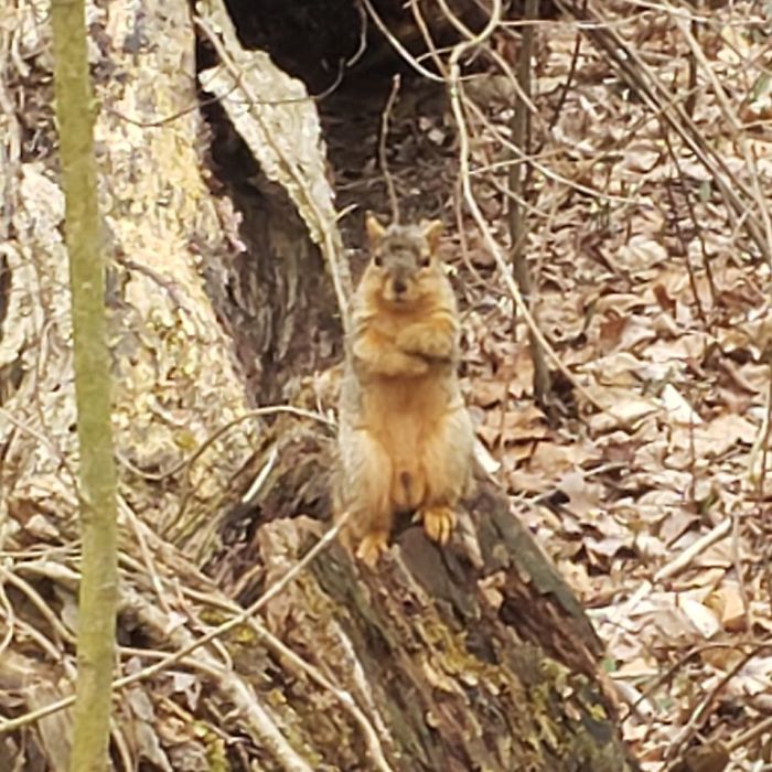 Add Your Description