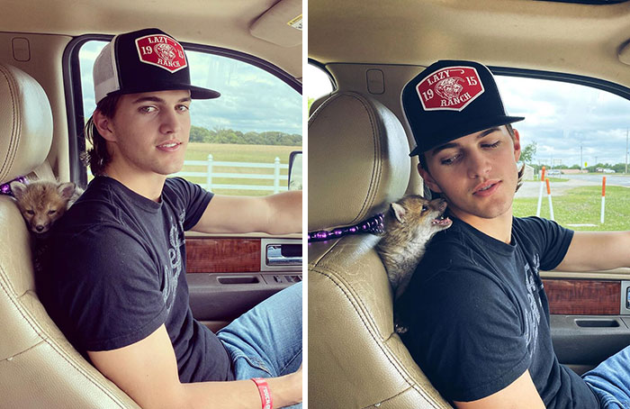 Nala The Baby Fox Telling Me A Secret