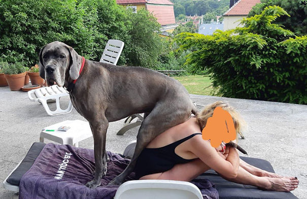 Meet Fina, She's 3-Years-Old, Loves Cuddles, Laps And Apparently Also Backs