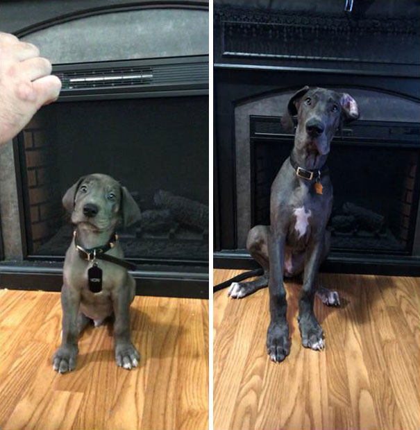 7 Weeks And 17 Weeks