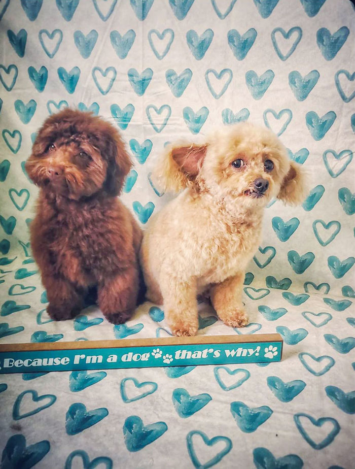 If He Could Talk I Would Swear He Would Say "Make Her Stop Touching Me"