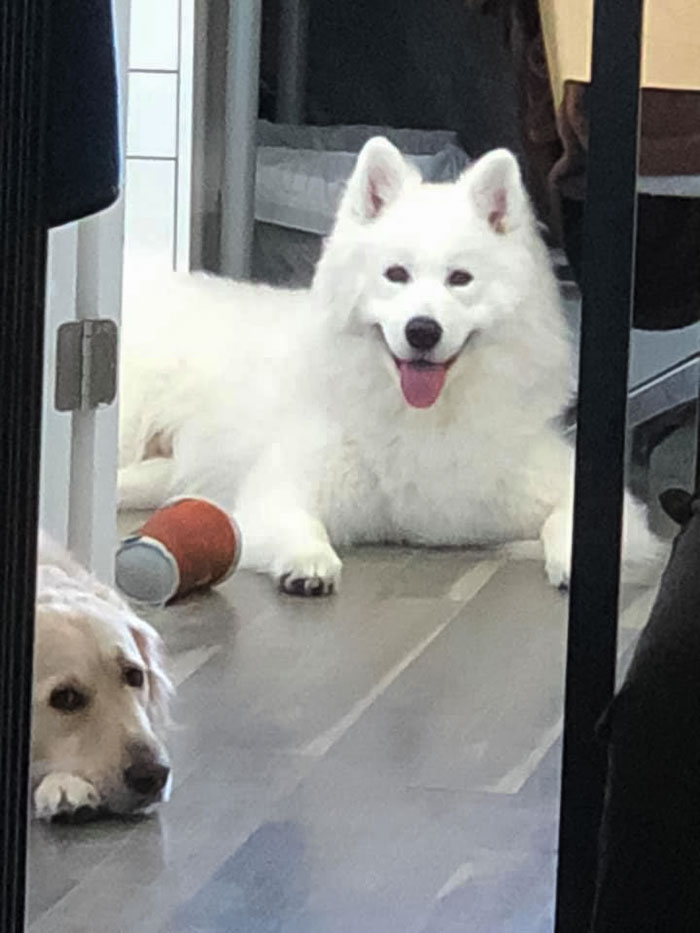 My Older One Just Looked Like That Most Of The Time. She Was Not Happy About Her Brother