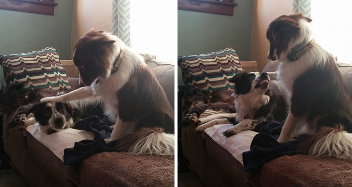 When Your Little Brother Is Getting Bigger Than You