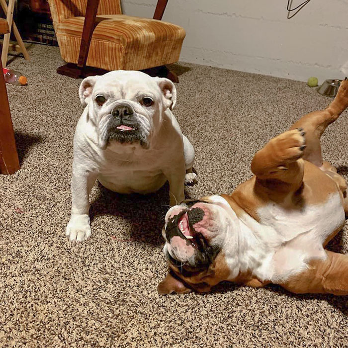 The White One Is The Older One If You Couldn’t Tell