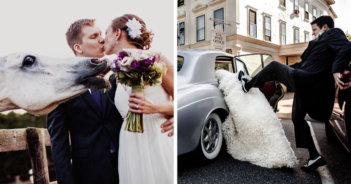 Photographers From All Around The World Share Their Silliest Wedding Photos (20 Pics)