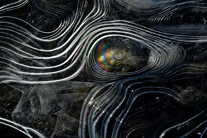 3rd Place, Nature's Studio. Prisma By Christopher Meyer