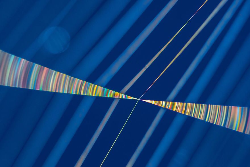 5th Place, Nature's Studio. Refraction. Refraction Of Light In The Cobweb By Burkhard Hillert