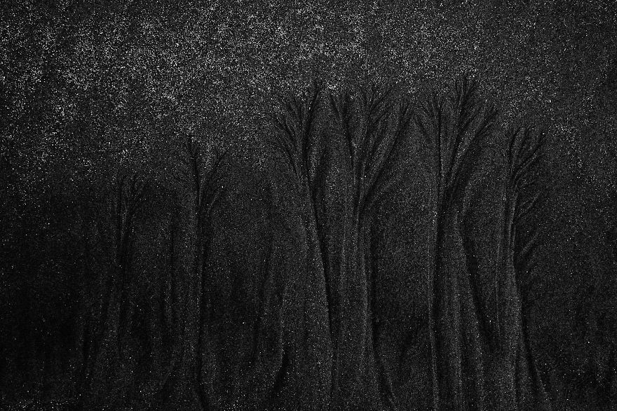 6th Place, Nature's Studio. Beach Secret By Dr. Siegmar Bergfeld