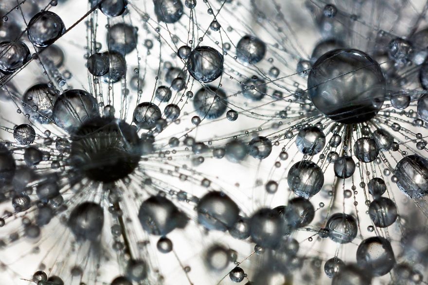 3rd Place, Special Category: Water. Collision. Overlap Of Geometric Shape By Birgit Potthoff