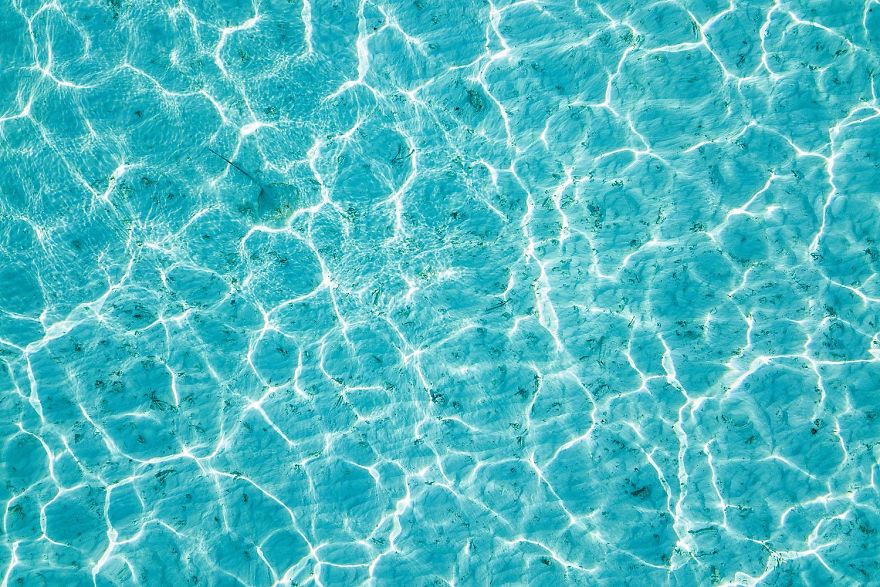 5th Place, Special Category: Water. Stingray By Jan Piecha