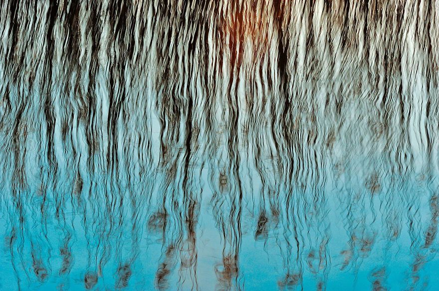 7th Place, Special Category: Water. Shilf By Sandra Bartocha