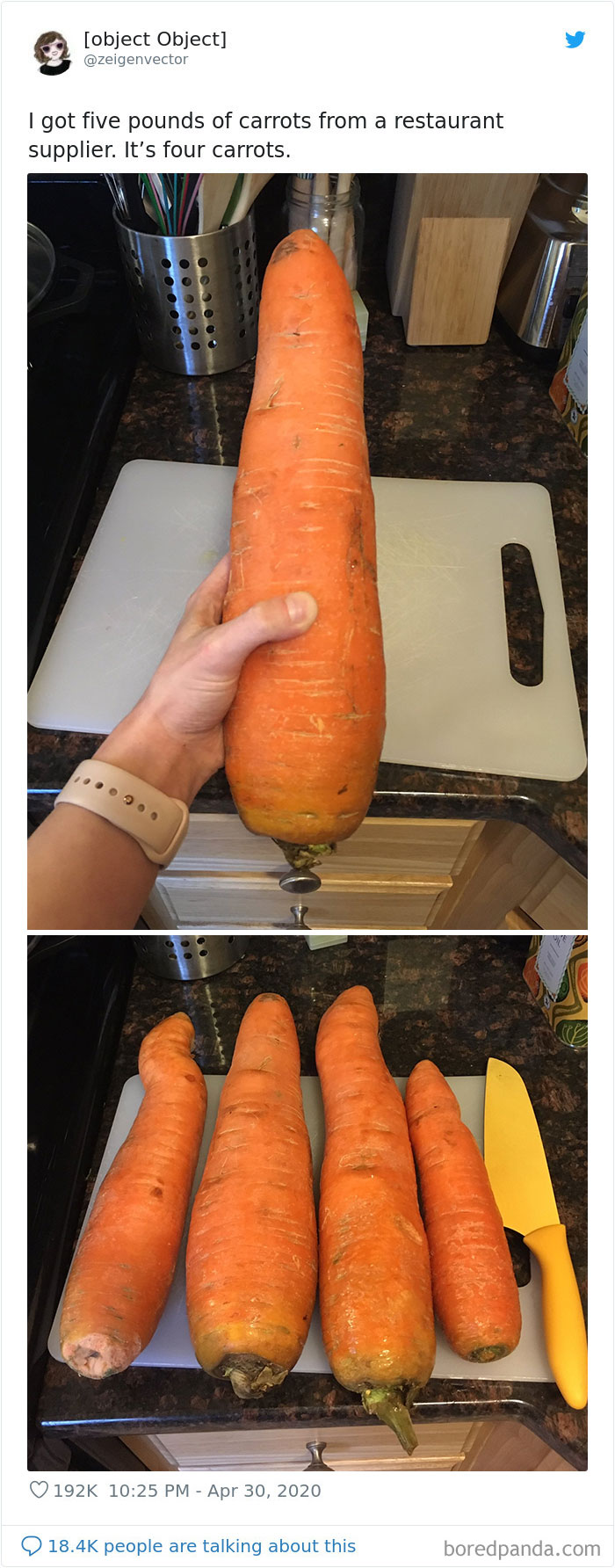 35 Times People Ordered Groceries During Quarantine And Got More Than They Bargained For