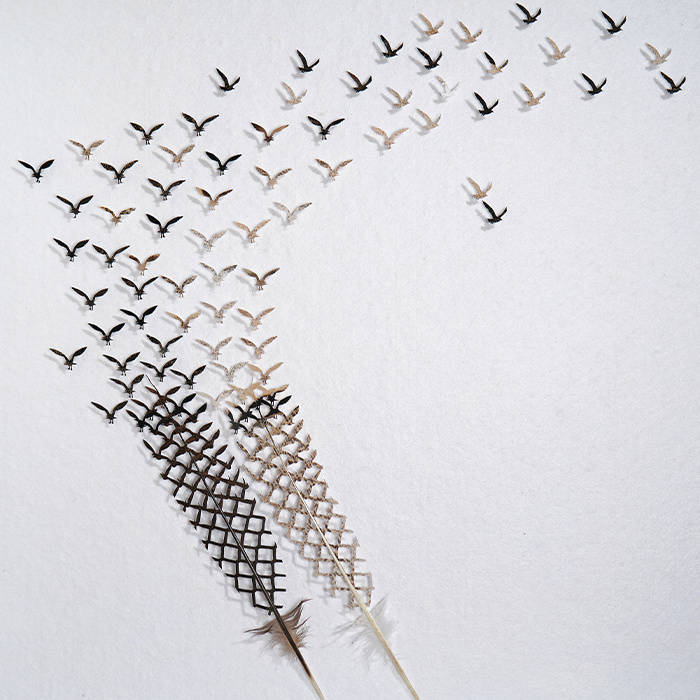 I Hand-Carve Feathers Into Intricate Designs Using Scalpels And Eye Surgery Scissors (30 New Pics)