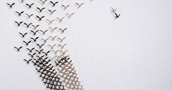 I Hand-Carve Feathers Into Intricate Designs Using Scalpels And Eye Surgery Scissors (30 New Pics)