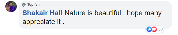 Over 5 Million Tiny Blue Flowers Have Bloomed In This Japanese Park, Unveiling A Magical Sight Over 5 Million Tiny Blue Flowers Have Bloomed In This Japanese Park, Unveiling A Magical Sight