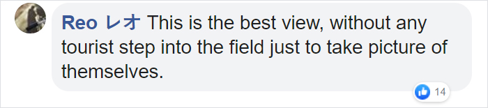 Over 5 Million Tiny Blue Flowers Have Bloomed In This Japanese Park, Unveiling A Magical Sight Over 5 Million Tiny Blue Flowers Have Bloomed In This Japanese Park, Unveiling A Magical Sight