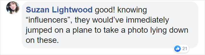 Over 5 Million Tiny Blue Flowers Have Bloomed In This Japanese Park, Unveiling A Magical Sight Over 5 Million Tiny Blue Flowers Have Bloomed In This Japanese Park, Unveiling A Magical Sight