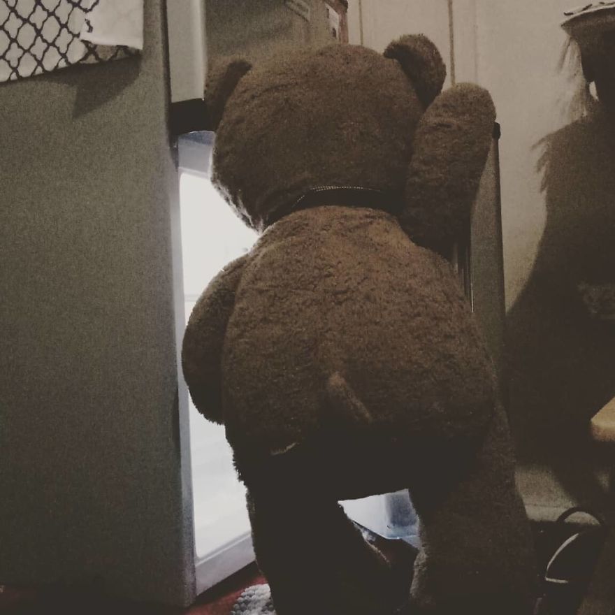 The Adventures Of Milo The Bear