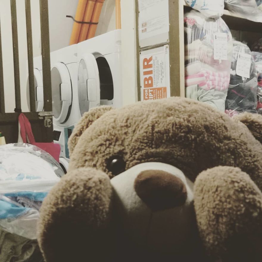 The Adventures Of Milo The Bear