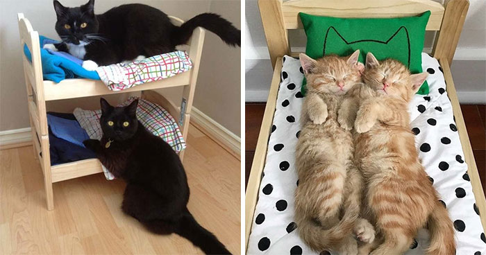 IKEA Sells Mini Beds For Children’s Toys, People Buy Them For Their Cats (30 Pics)