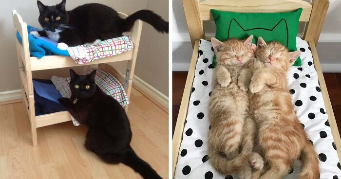 IKEA Sells Mini Beds For Children’s Toys, People Buy Them For Their Cats (30 Pics)