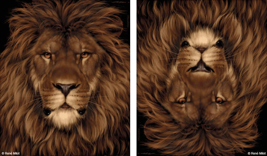 10 Superb Illustrations That You Should See Before You Die