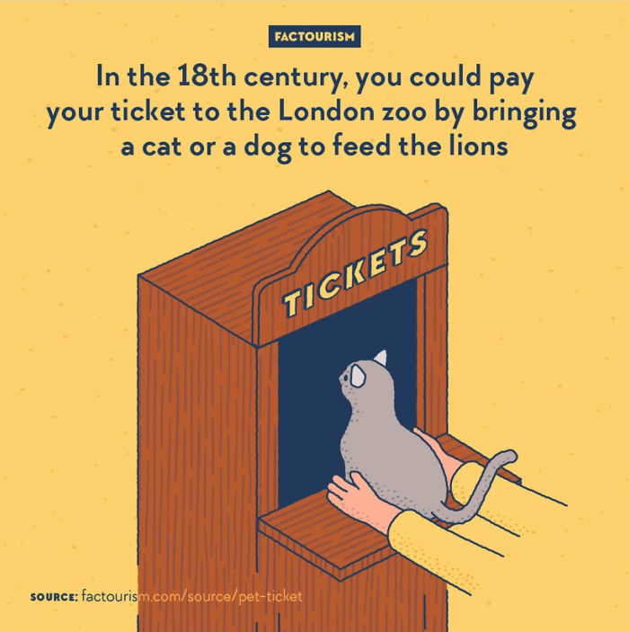 Illustrated-Facts-Factourism