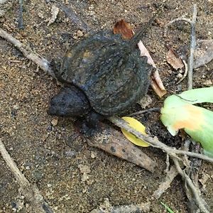 benjaminvidonic avatar