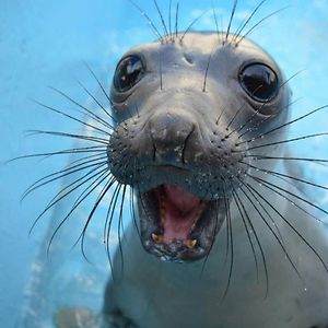 paulinajohansson193 avatar