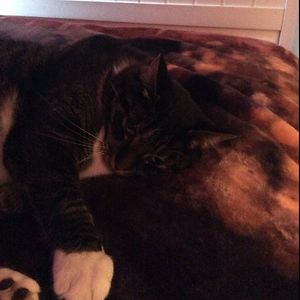 bohl_family_1 avatar