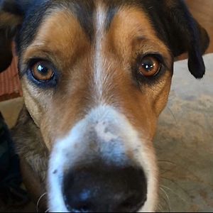 kathymadersocial avatar