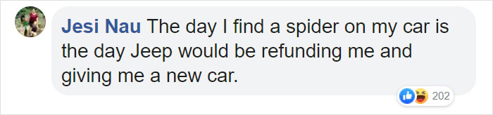 Facebook comment about jeep easter egg