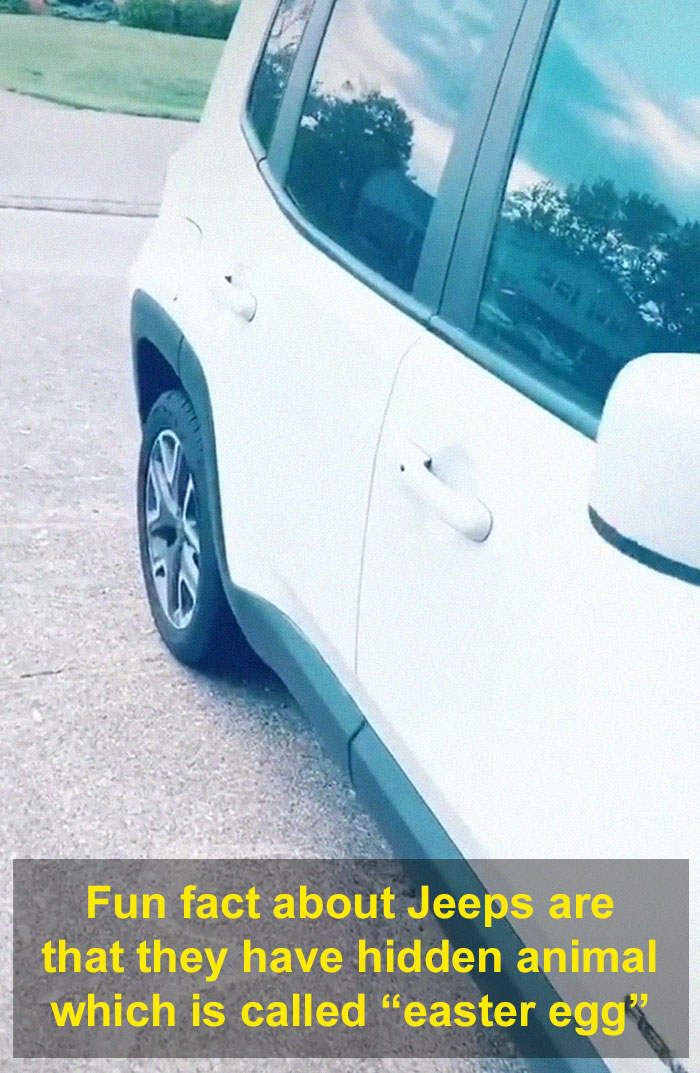 White car doors White car doors