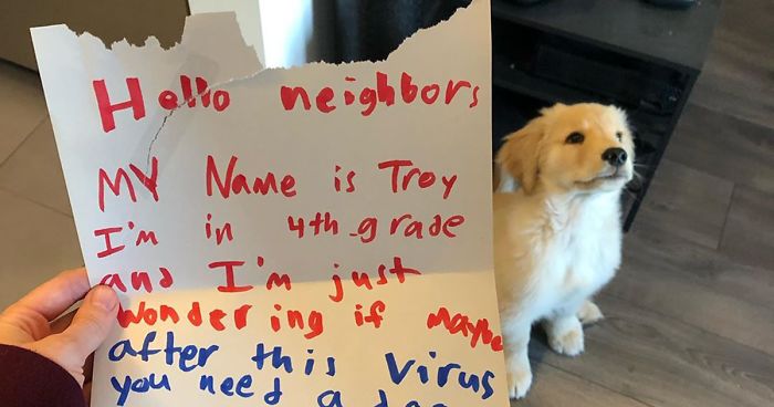 10 Y.O. Boy Writes A Letter To His Neighbor Saying “I’m Wondering If Maybe After This Virus You Need A Dog Sitter”