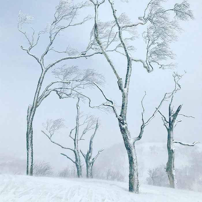 Here Are The 10 Winning Photographs From The ‘Landscape’ Contest