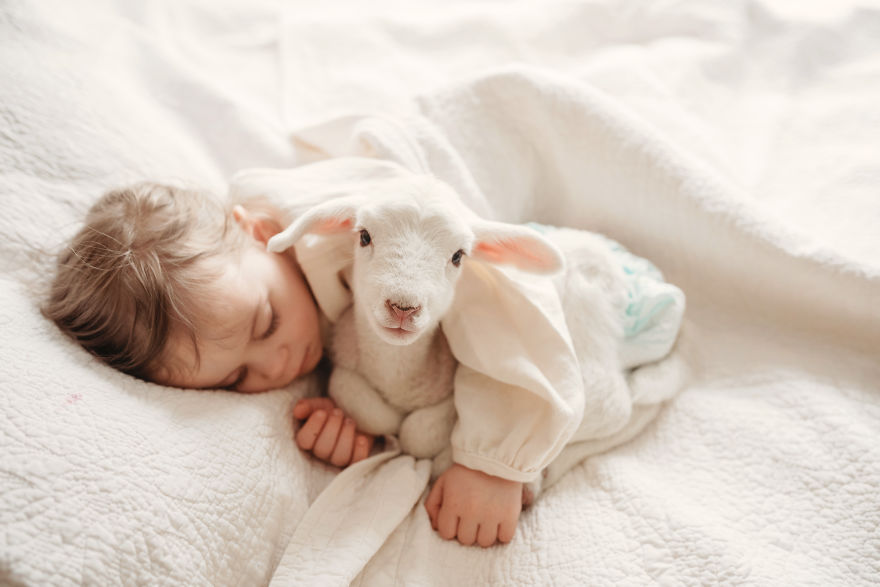 I Capture Children With Animals And Create Magical Moments.