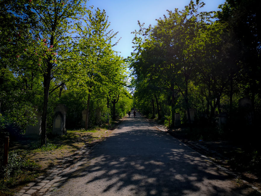 22 Photos Showing The Overgrown Cemetery Of Mozart Burial Place 22 Photos Showing The Overgrown Cemetery Of Mozart Burial Place