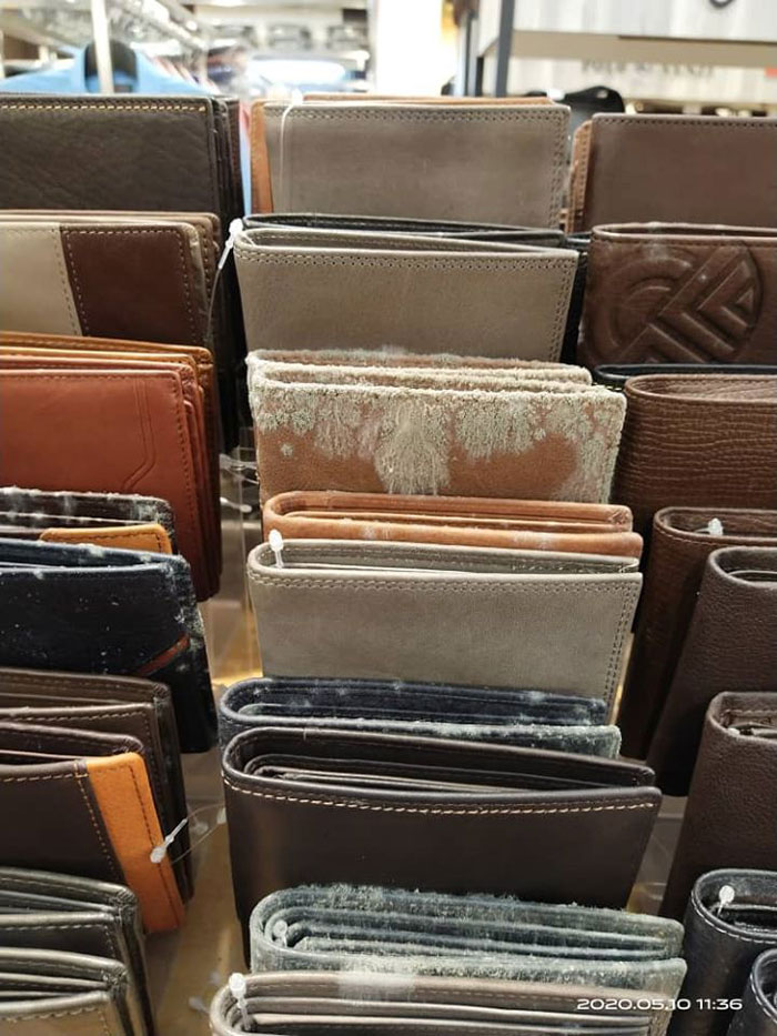 Business Reopens Its Doors After 53 Days Of Closure Due To Quarantine Only To Find All Of The Leather Products Molded Business Reopens Its Doors After 53 Days Of Closure Due To Quarantine Only To Find All Of The Leather Products Molded