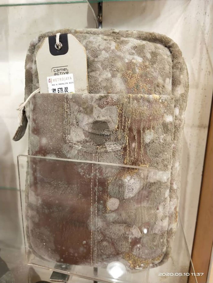 Business Reopens Its Doors After 53 Days Of Closure Due To Quarantine Only To Find All Of The Leather Products Molded Business Reopens Its Doors After 53 Days Of Closure Due To Quarantine Only To Find All Of The Leather Products Molded