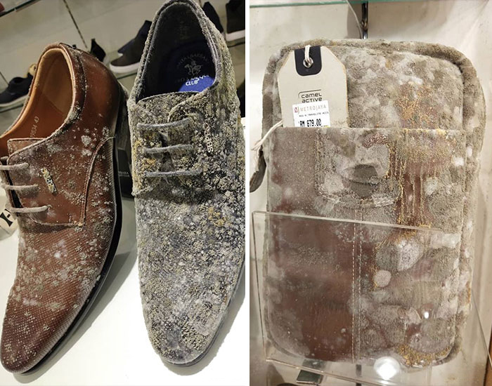 Este negocio abrió sus puertas tras 53 días cerrado por la cuarentena, y encontraron todos sus productos de cuero llenos de moho