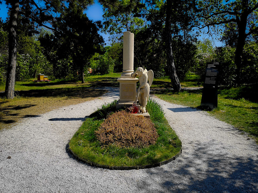 22 Photos Showing The Overgrown Cemetery Of Mozart Burial Place